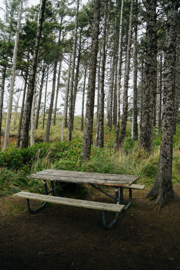 A picnic table surrounded by trees at the Hug Point State Recreation Site.
