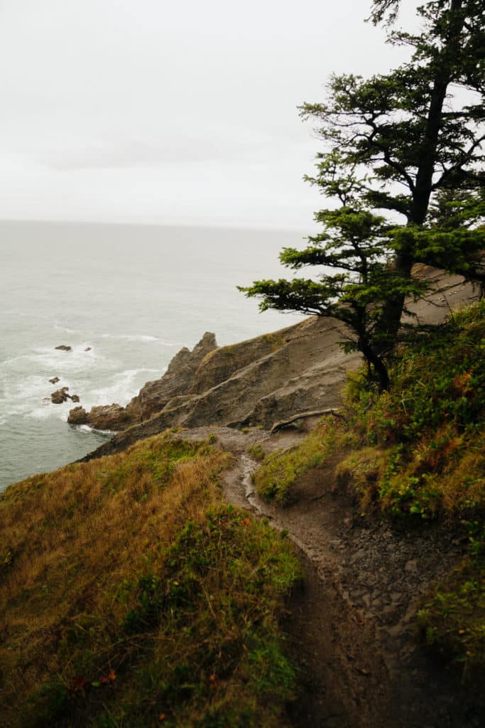 A cliff over the ocean at Oswald West State Park, with a tree standing next to the trail.