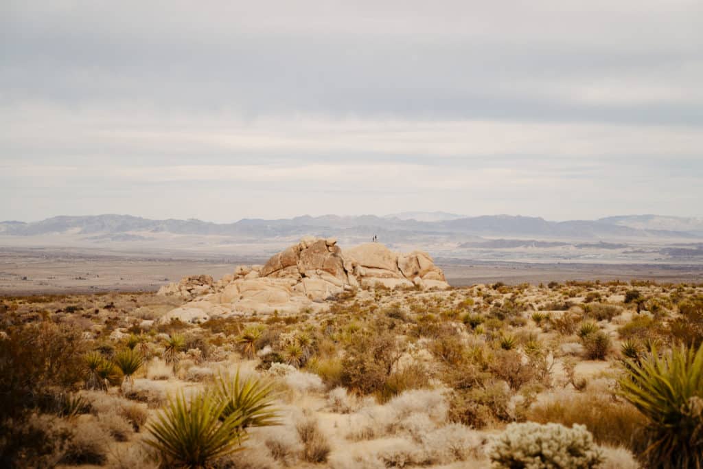 A vista from the Indian Cove Nature Trail. There are cactuses in the foreground, and piles of boulders in the background, with two people standing on top of the formation.