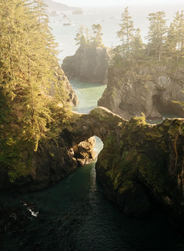 A view of the natural bridge, from one of the best hikes on the Oregon Coast.