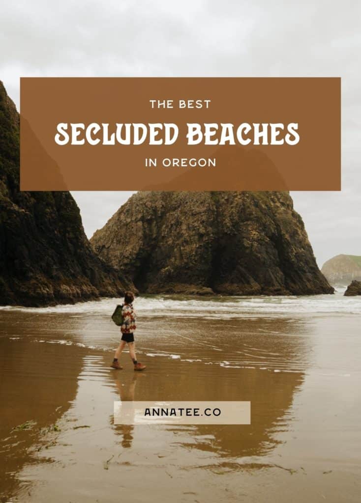 A Pinterest graphic that says "the best secluded beaches in Oregon."