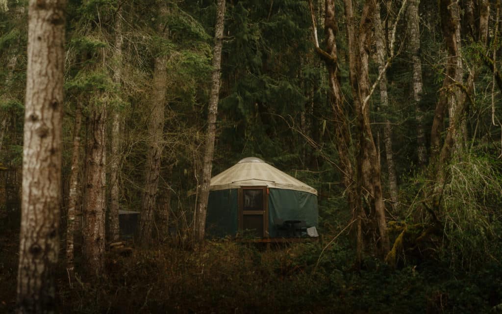 The Dragonfly Yurt is standing in the woods of Eugene, Oregon, with a green canvas wall surrounded by trees.