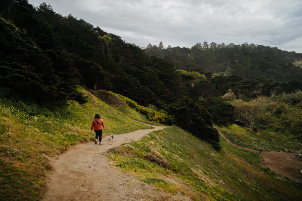 A girl is walking with a dog on the leash, following the Land's End Trail to Mile Rock Beach.