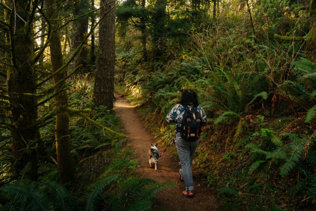A woman is walking her dog on the trail to the Natural Bridges at Samuel H. Boardman State Park, on a dirt path surrounded by ferns.