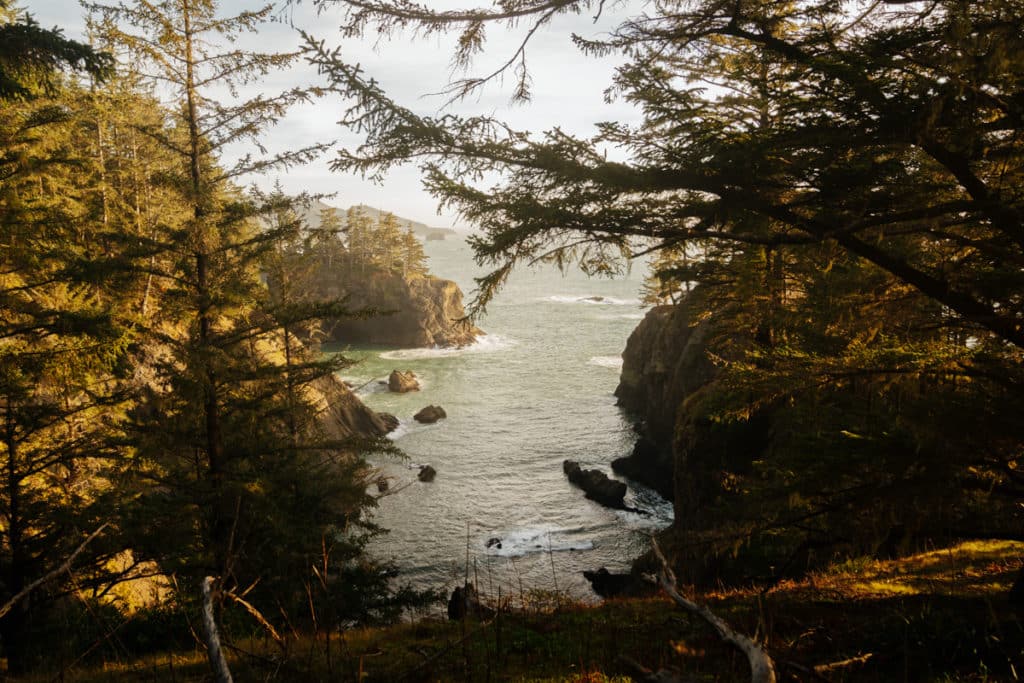 A view of the ocean at the Natural Bridges in Samuel H. Boardman State Park. There are rocks in the water, with the ocean down below, and trees in the foreground.