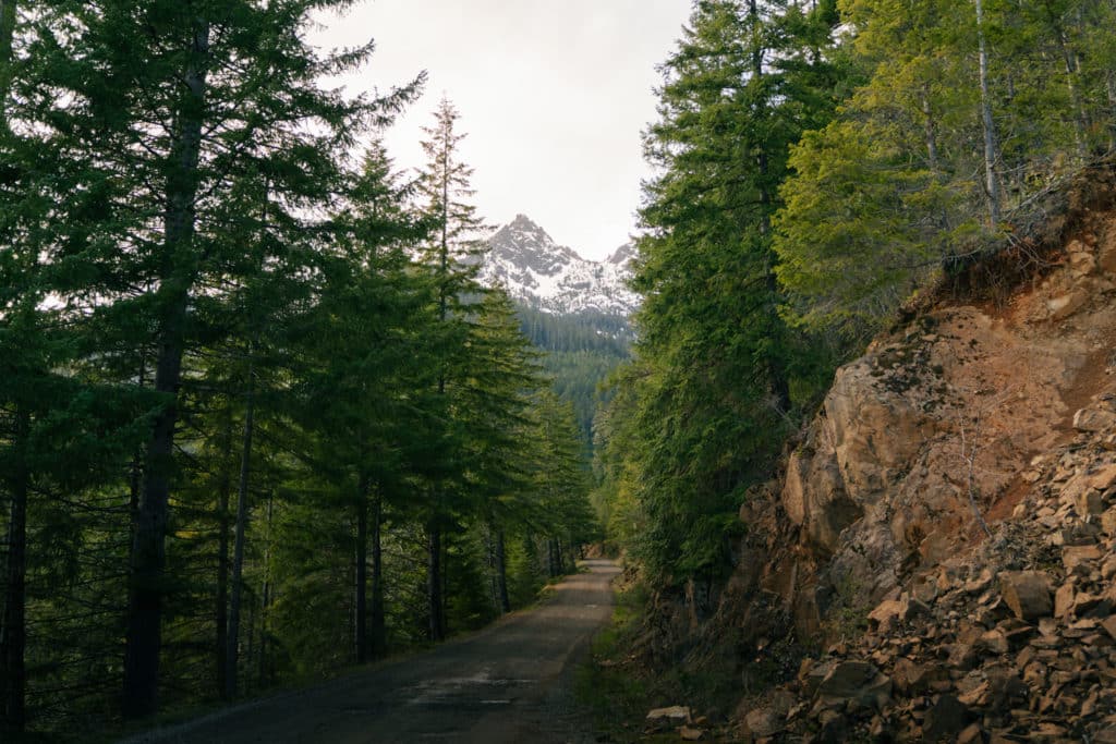 A view of a forest road near Lake Cushman, with a mountain towering over the road.