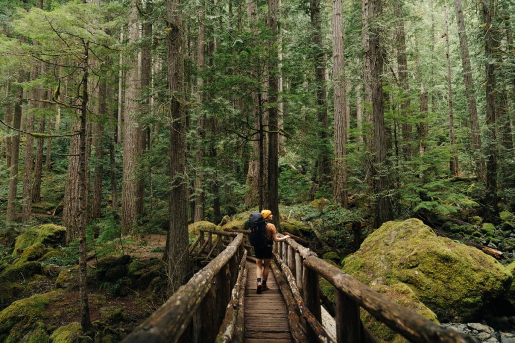A wooden bridge on the Lena Lake trail, surrounded by trees and rocks covered in moss.