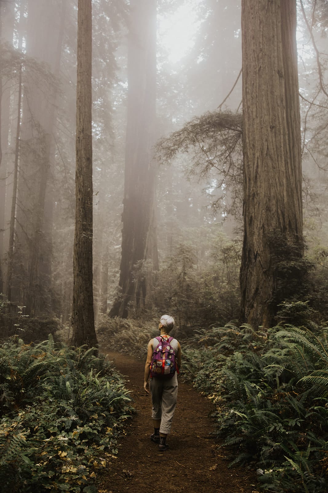 Hike the Damnation Creek Trail in the Redwoods
