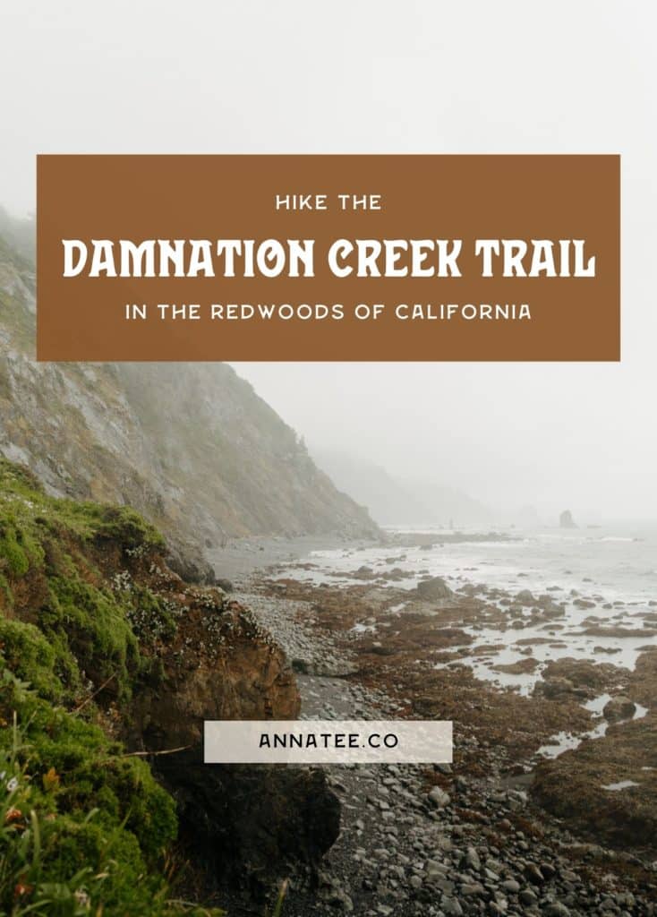 A Pinterest graphic that says "hike the damnation creek trail in the redwoods of California."