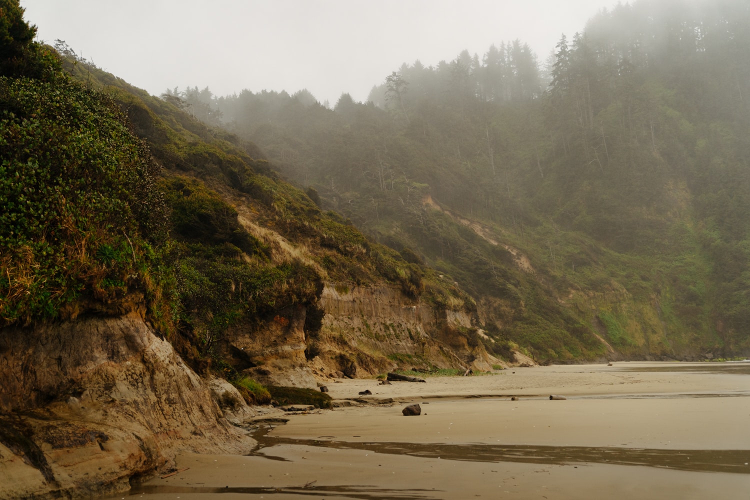 Hike the Hobbit Beach Trail on the Oregon Coast