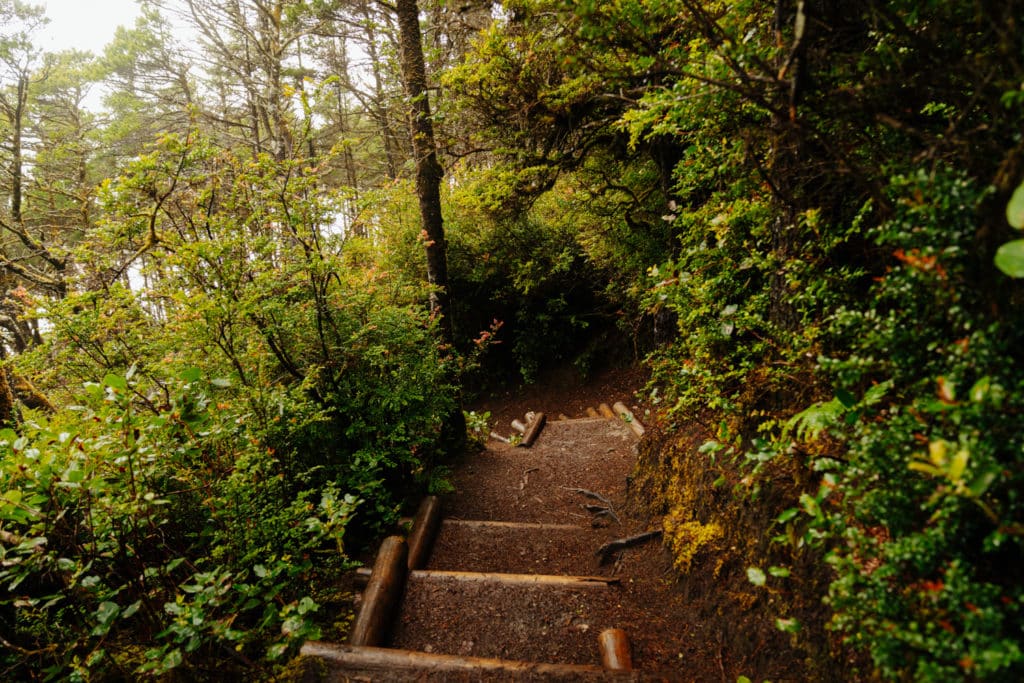 Stairs on the trail to Hobbit Beach