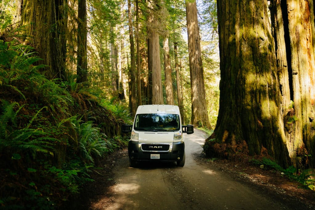My camper van driving on Howland Hill Road to one of the hikes in Redwood National Park.