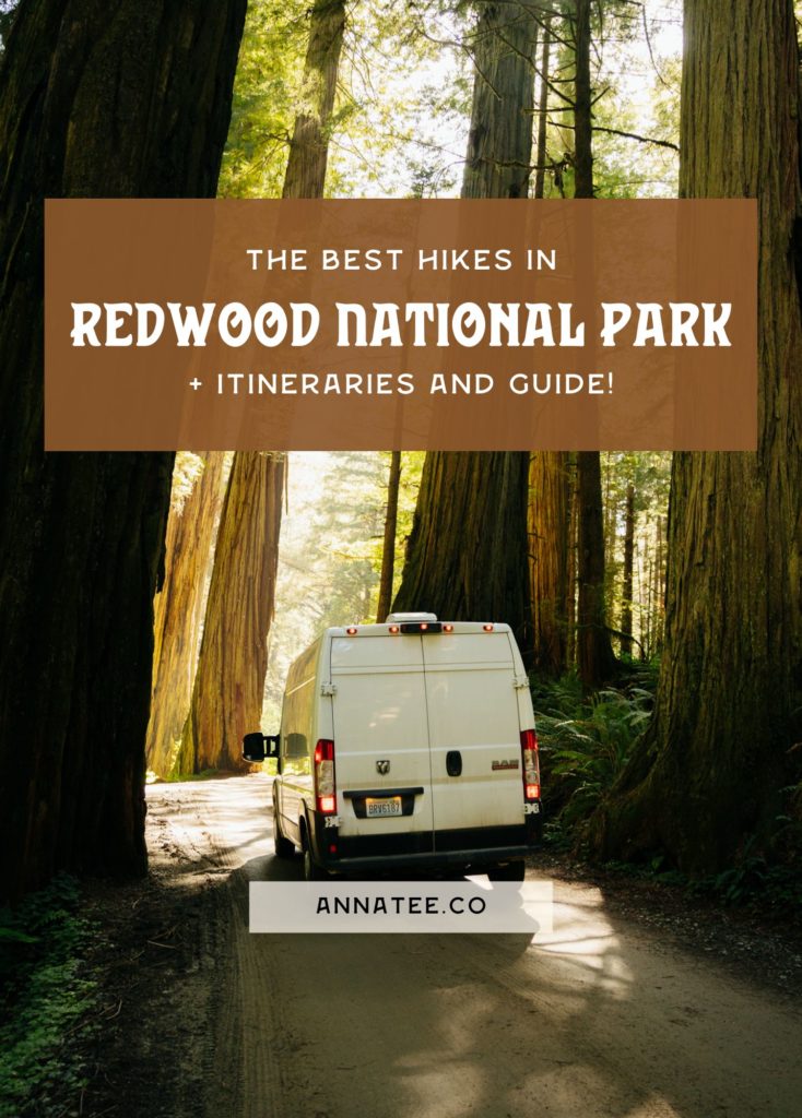 A Pinterest graphic that says "The best hikes in Redwood National Park."