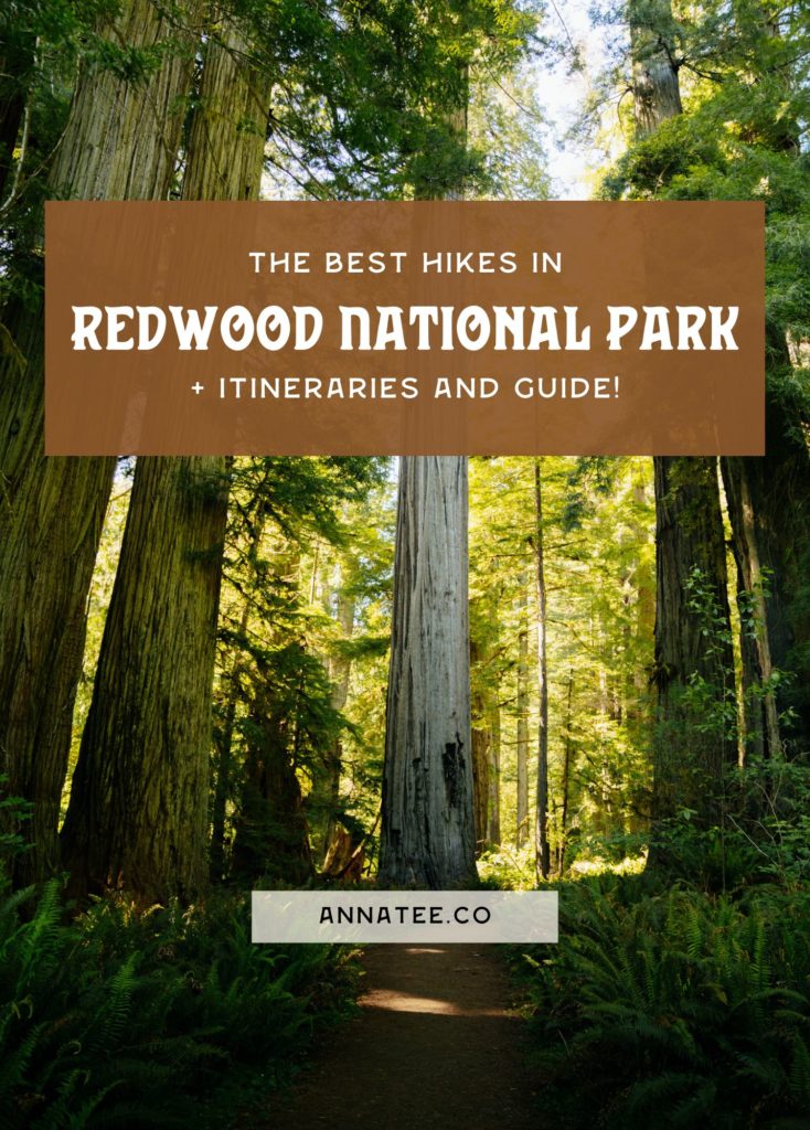 A Pinterest graphic that says "The best hikes in Redwood National Park."