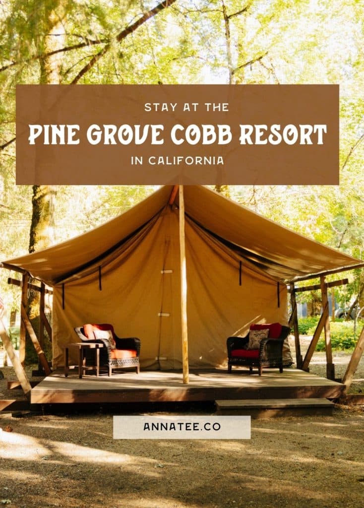 A Pinterest graphic that says "stay at the Pine Grove Cobb Resort in California."