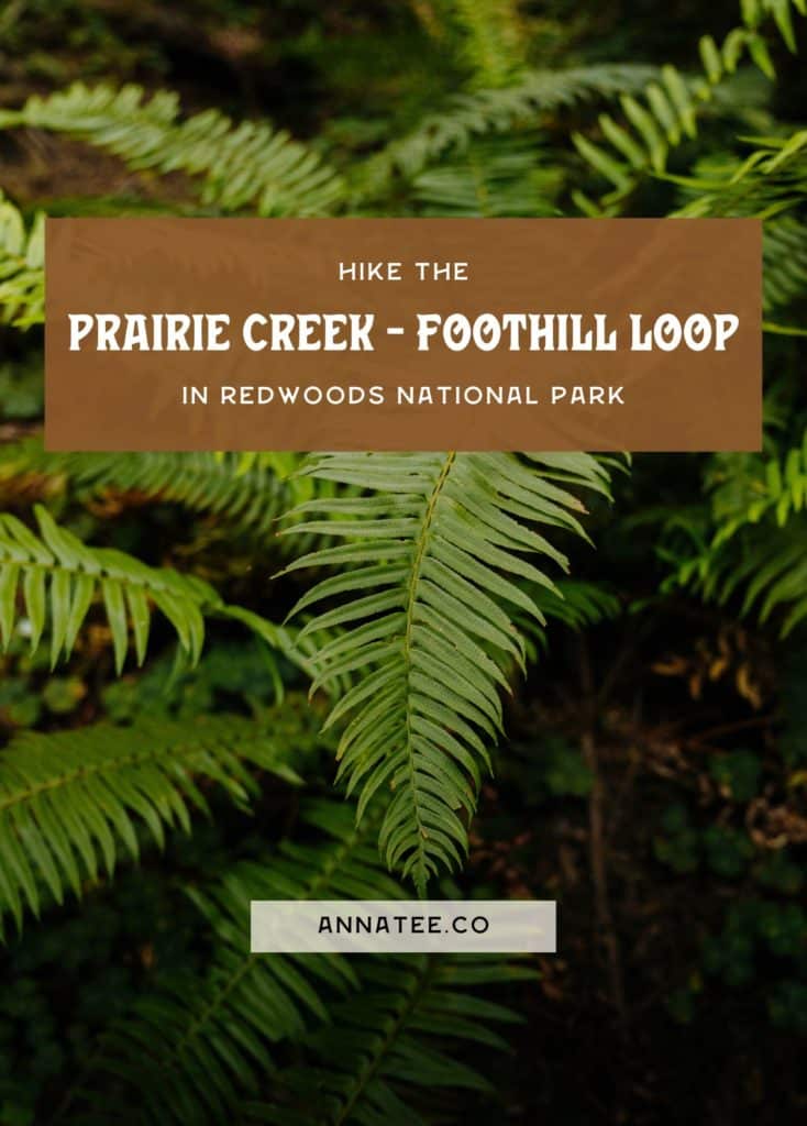 A Pinterest graphic that says "Hike the Prairie Creek - Foothill Trail Loop."
