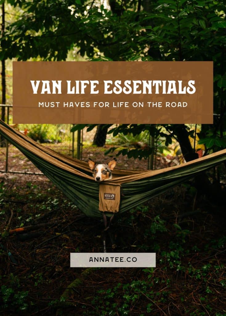 A Pinterest graphic that says "van life essentials - must haves for life on the road."