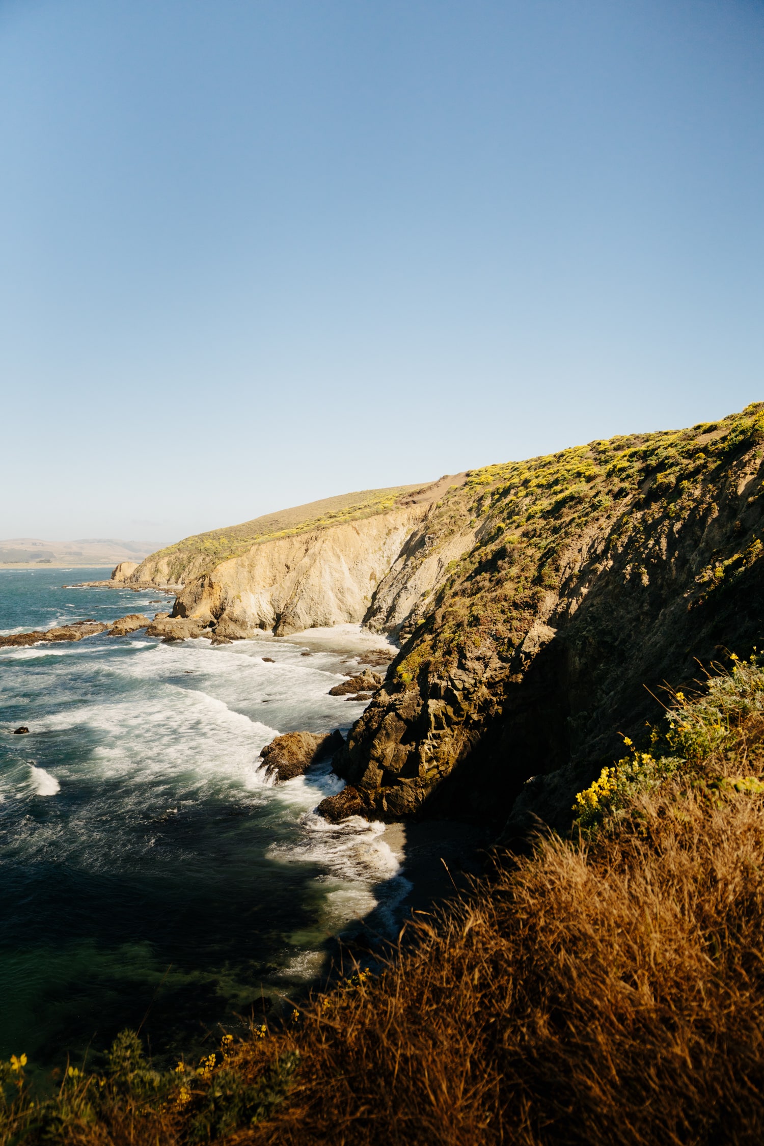Hike the Tomales Point Trail at Point Reyes National Seashore
