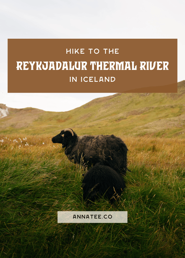 A Pinterest graphic that says "hike to the Reykjadalur Hot Spring Thermal River in Iceland"