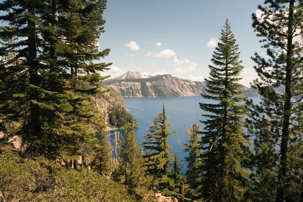 A view of Crater Lake through the trees, from the Cleetwood Cove trail.