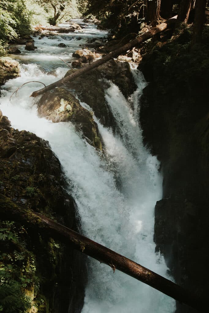 The view at the end of one of the best hikes in Olympic National Park - Sol Duc Falls.