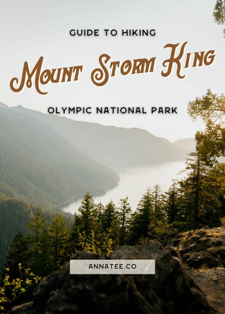A Pinterest graphic that says "guide to hiking the Mount Storm King trail."