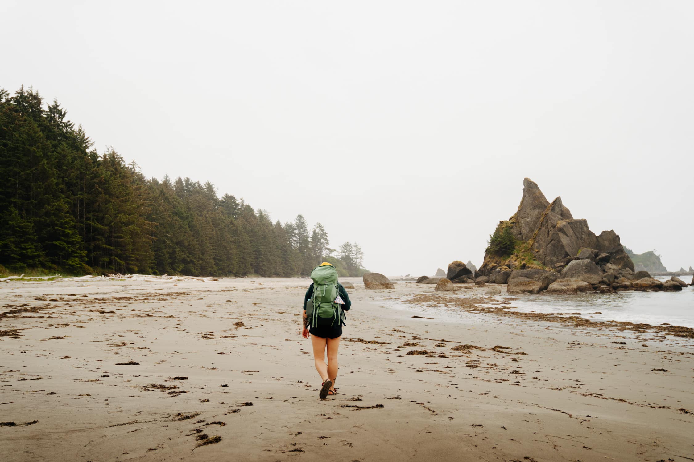 How to Backpack the Olympic South Coast Wilderness Trail