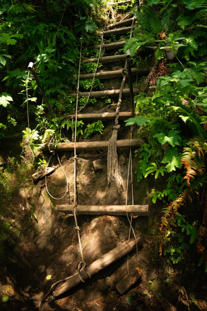 A ladder that leads to the overland section of the South Coast wilderness trail.