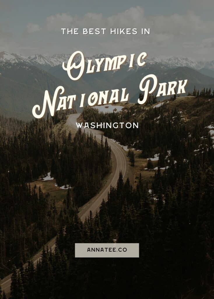 A Pinterest Graphic that says "The Best Hike in Olympic National Park, Washington."