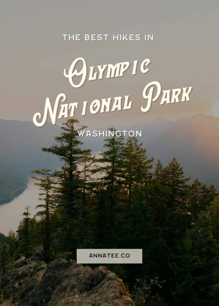 A Pinterest Graphic that says "The Best Hike in Olympic National Park, Washington."