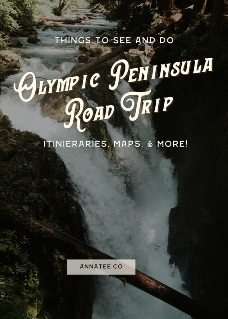 A Pinterest graphic that says "things to See and Do on an 
Olympic Peninsula Road Trip."