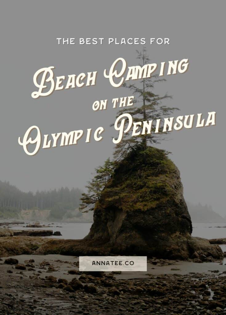 A Pinterest graphic that says "The Best Places for Beach Camping on the Olympic Peninsula."