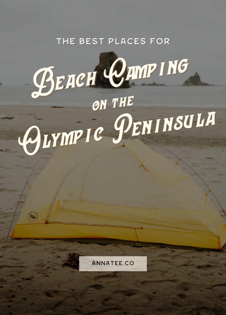 A Pinterest graphic that says "The Best Places for Beach Camping on the Olympic Peninsula."