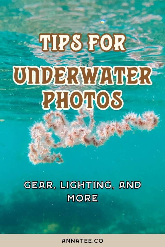 A Pinterest graphic that says "how to take photos underwater - while snorkeling or scuba diving."